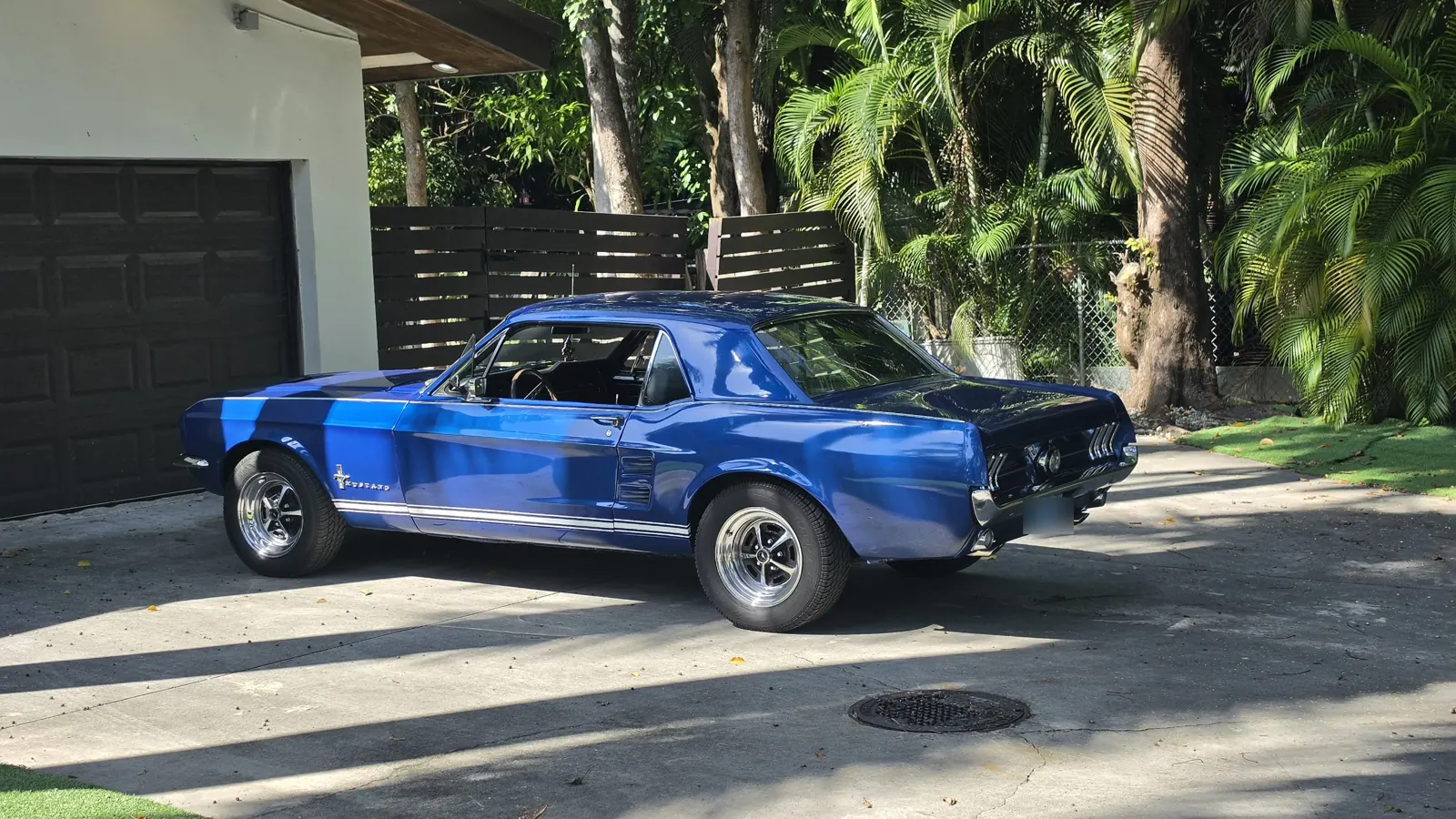 1967 Mustang coupe in a Florida driveway