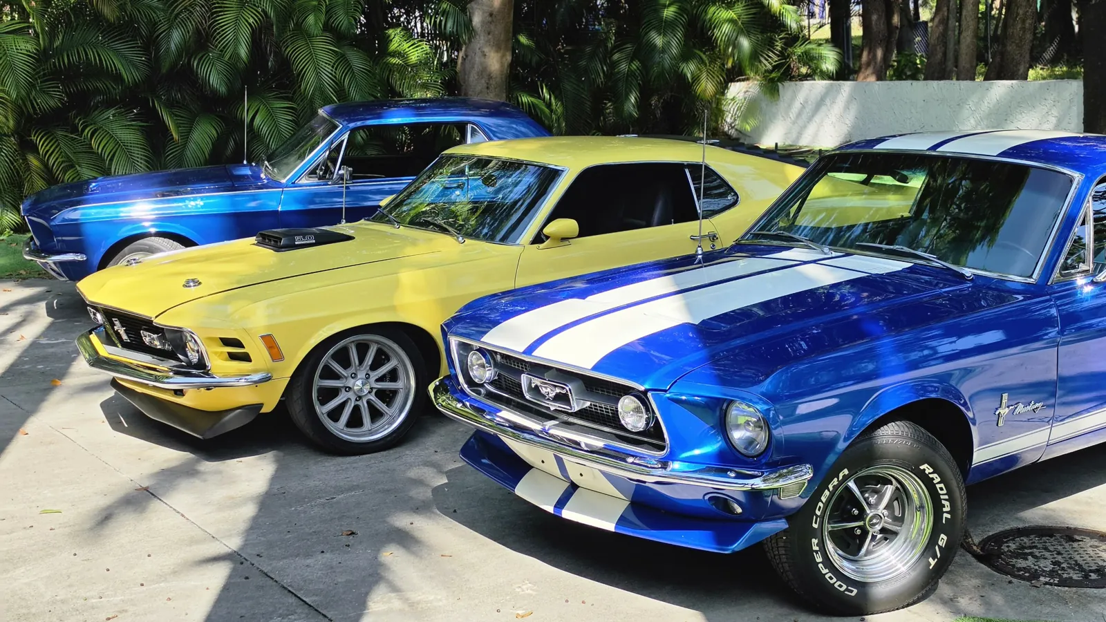1967 Coupe, 1970 Mach 1 and 1968 Fastback parked together in Port St. Lucie